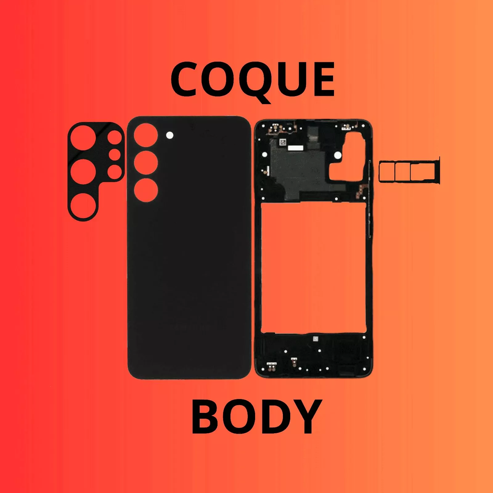 BODY
